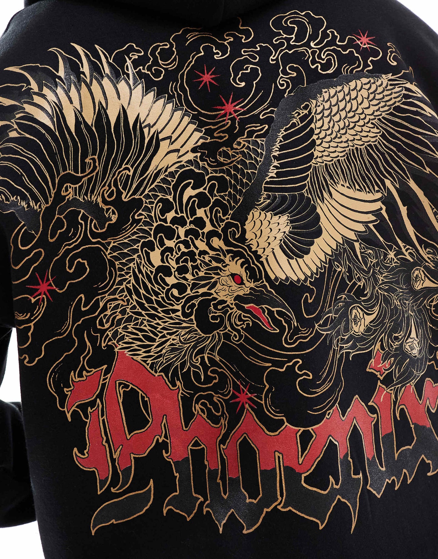 Sweat à capuche graphique Phoenix Back